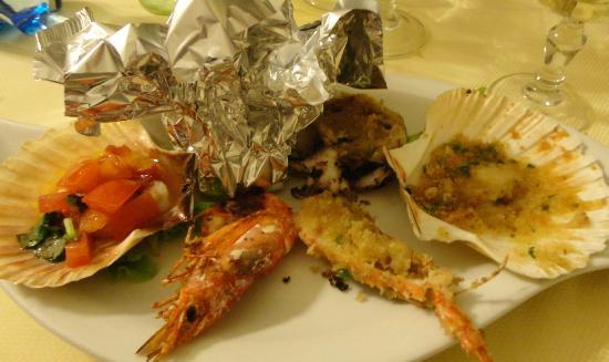 Stella Marina di Montecristo